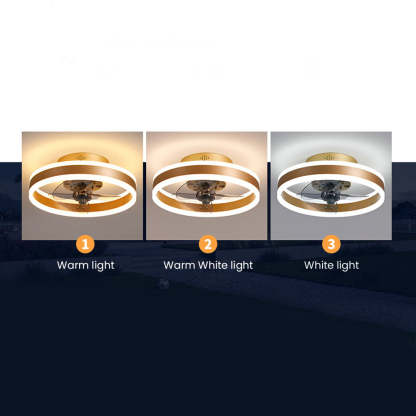 Modern Round Living Room Ceiling Fan With LED Light