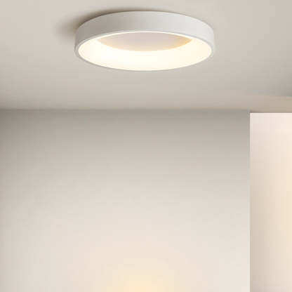 Modern Minimal Decor Round LED Ceiling Light for Living Room