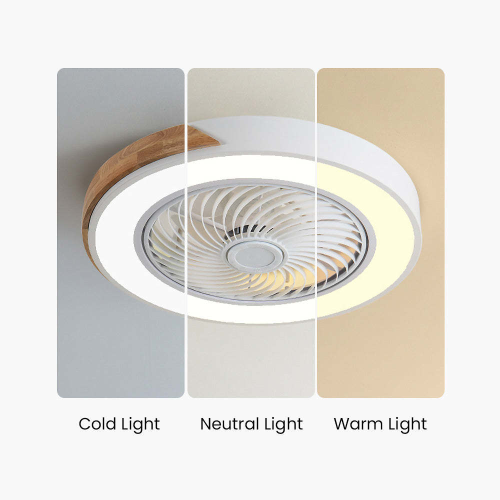 Modern Simple Round Iron Ceiling Fans With LED Lights