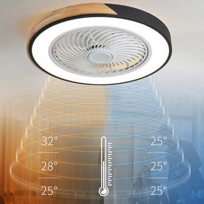 Modern Simple Round Iron Ceiling Fans With LED Lights