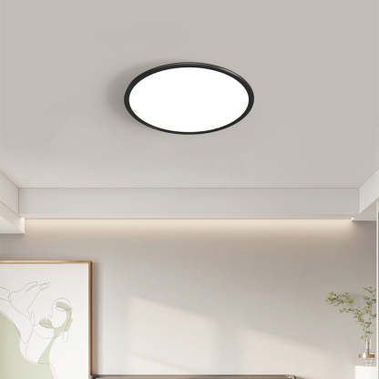 Modern Minimalist Black Acrylic LED Ceiling Light for Living Room