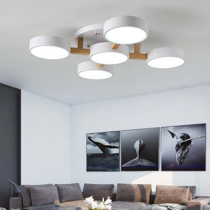 Nordic Modern Acrylic LED Living Room Ceiling Light