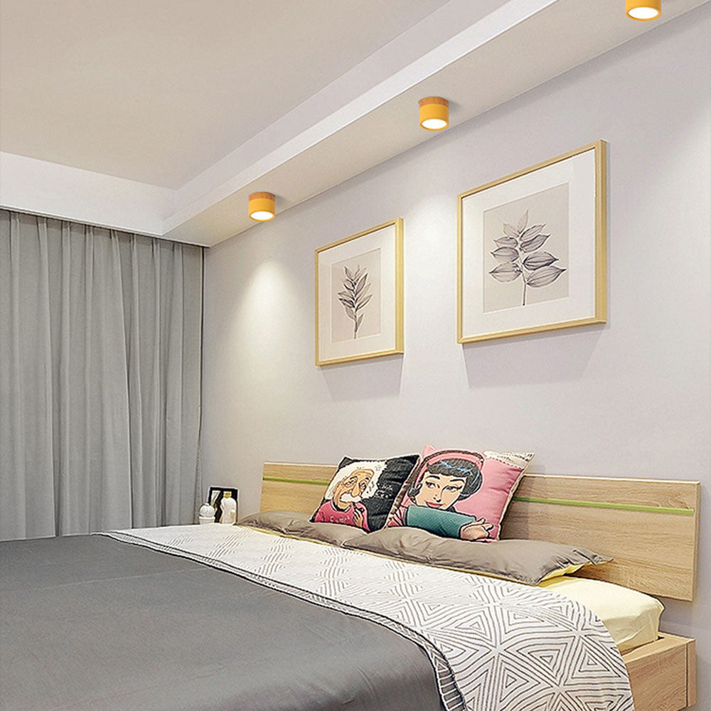 Cylinder Small Hallway Flush Ceiling Lamp For Living Room