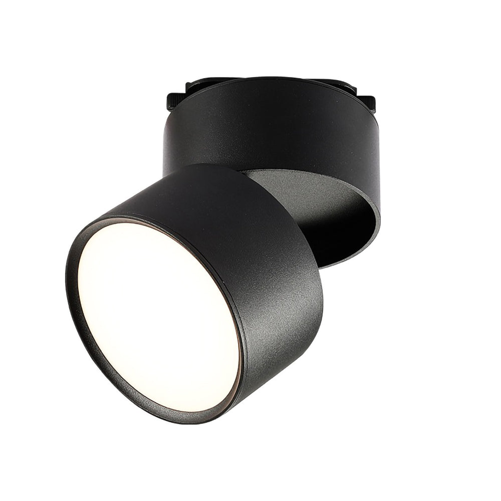 Modern Mini Surface Mounted Adjustable Ceiling Lamp