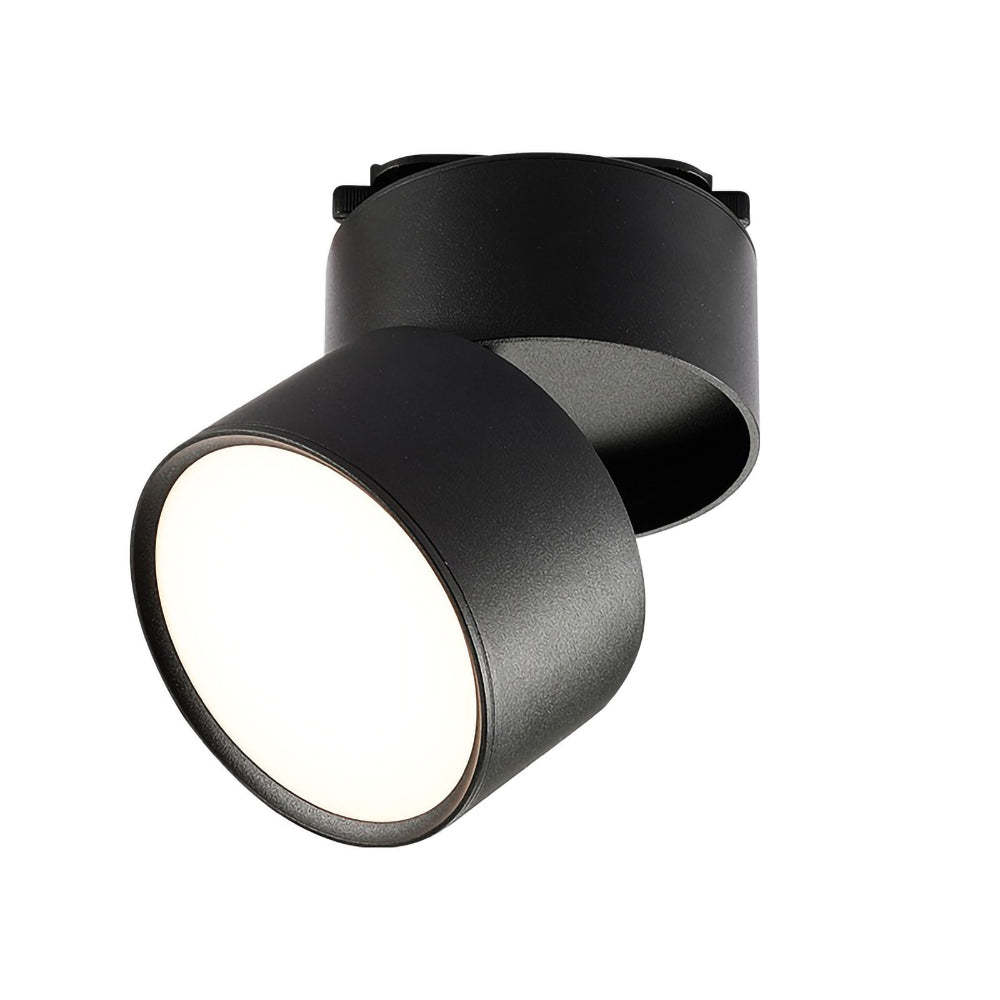 Modern Mini Surface Mounted Adjustable Ceiling Lamp