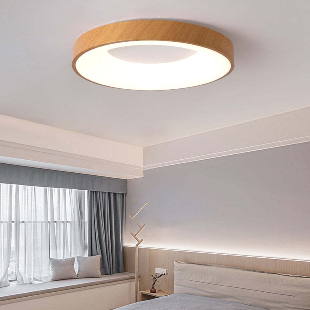 Lampsmodern Ceiling Lights Contemporary Ceiling Lighting for Living Room