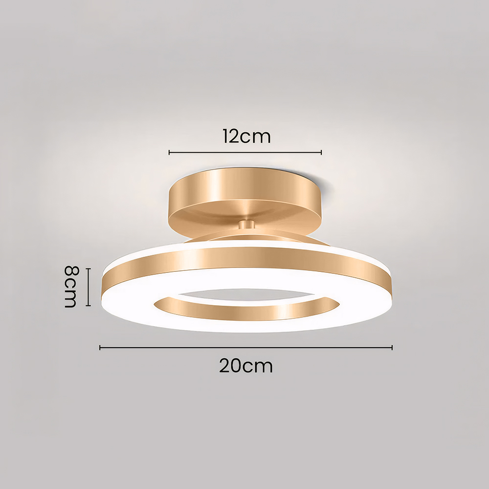 Modern Dimmable LED Living Room Ceiling Light