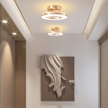 Modern Dimmable LED Living Room Ceiling Light