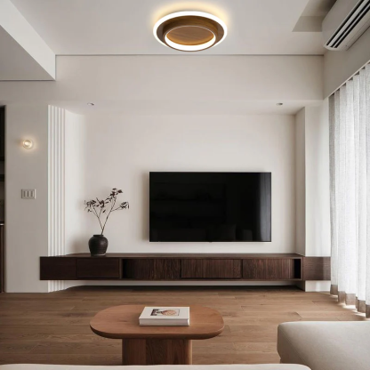 Simple Metal LED Living Room Ceiling Lights