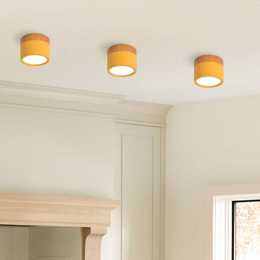 Cylinder Small Hallway Flush Ceiling Lamp For Living Room