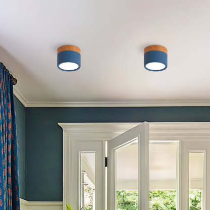Cylinder Small Hallway Flush Ceiling Lamp For Living Room
