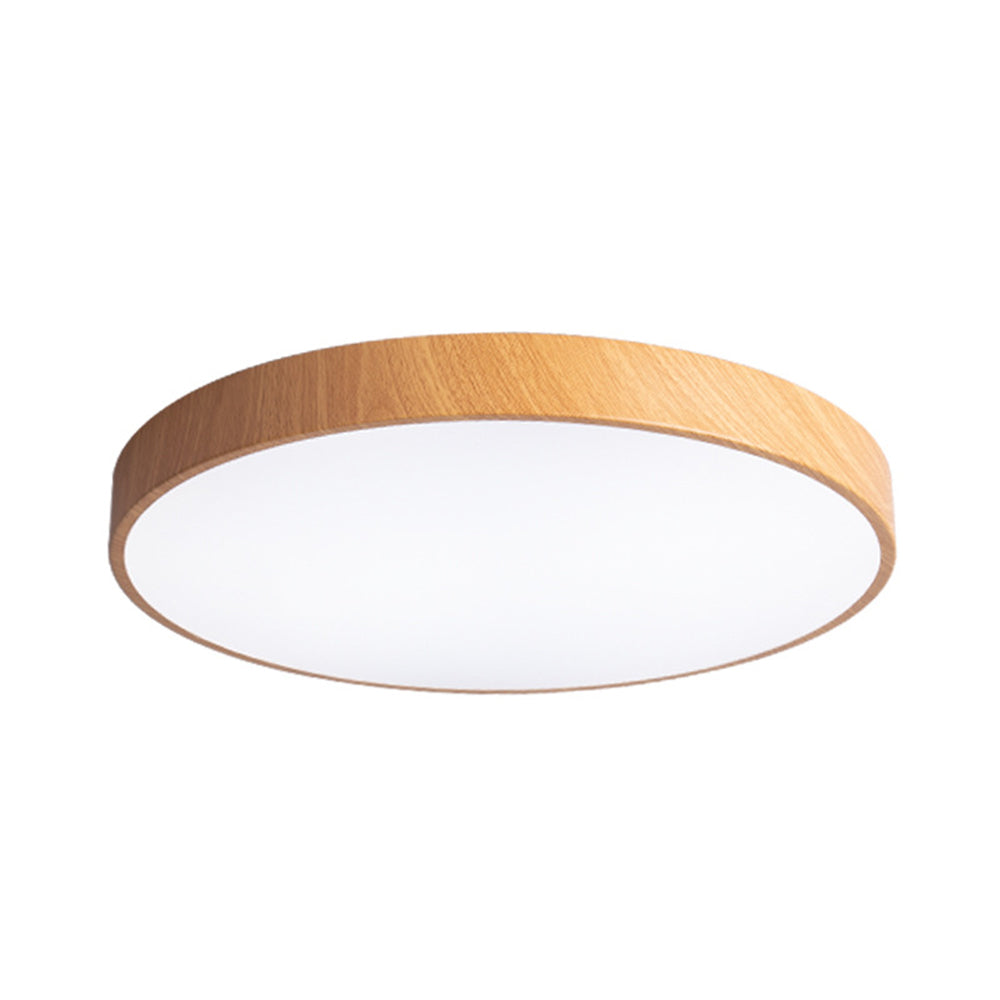 Modern Concise Iron LED Ceiling Light