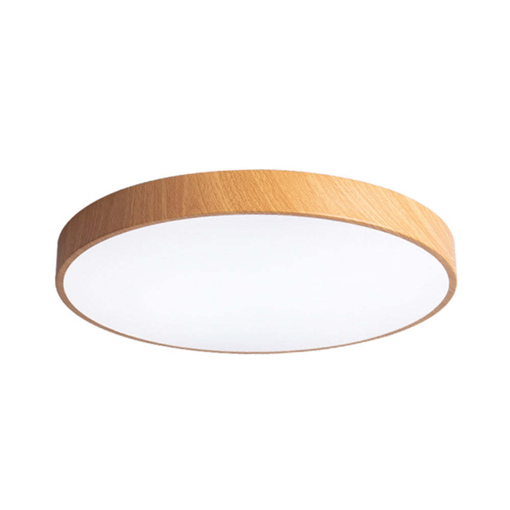 Modern Concise Iron LED Ceiling Light