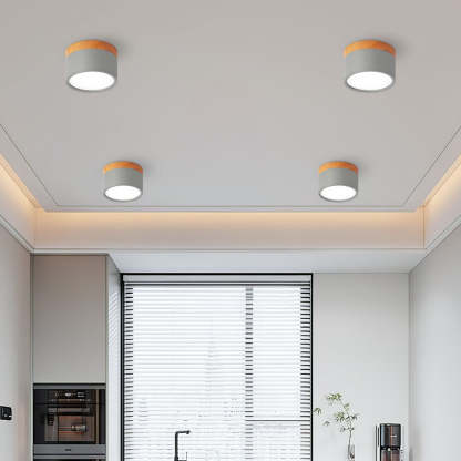 Cylinder Small Hallway Flush Ceiling Lamp For Living Room