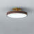 Lampsmodern Ceiling Lights Morden Acrylic LED Ceiling Light For Bedroom