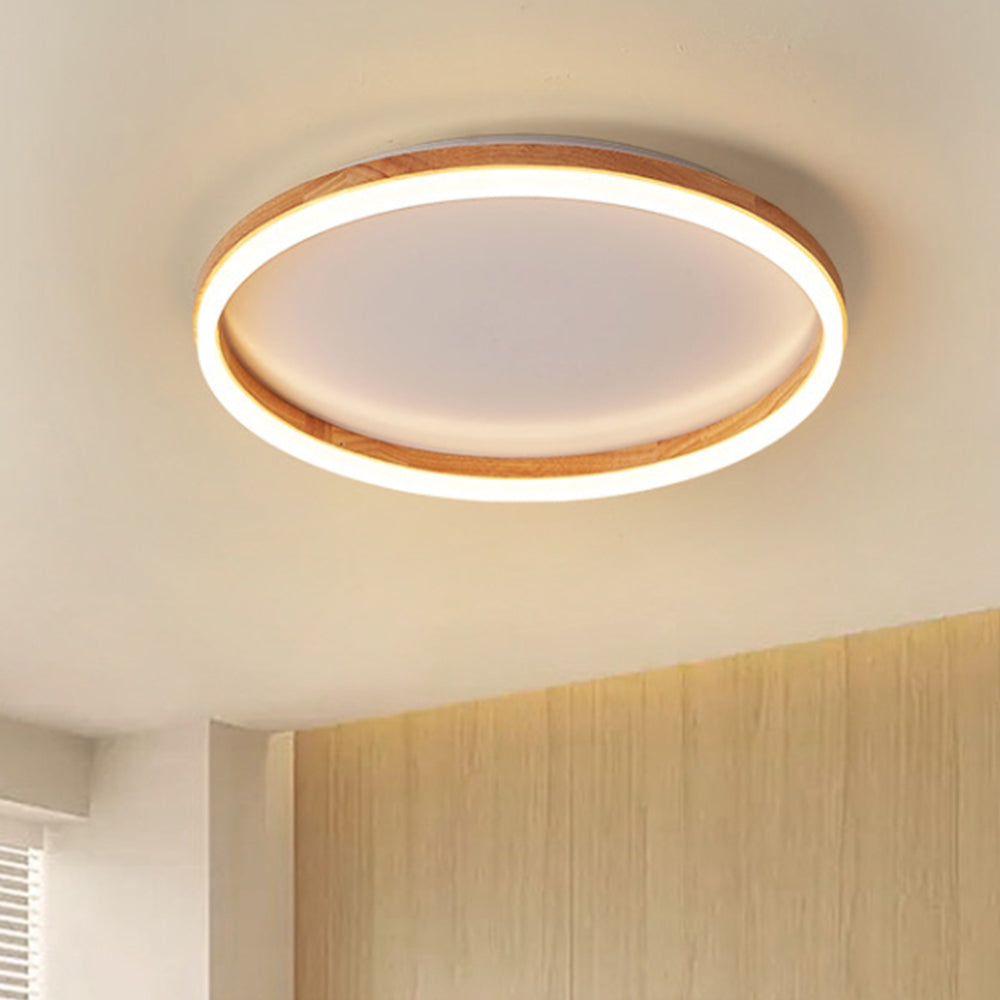 Organic Round Living Room LED Ceiling Lights