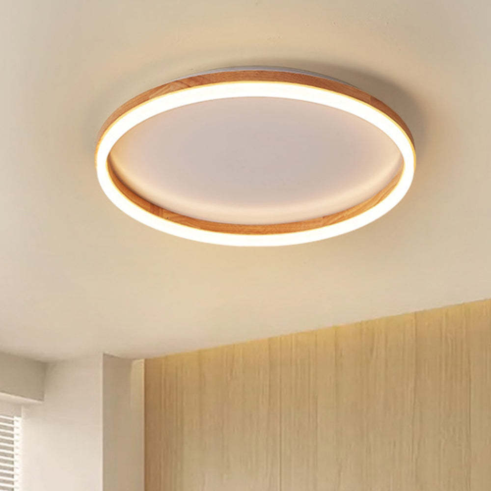 Organic Round Living Room LED Ceiling Lights
