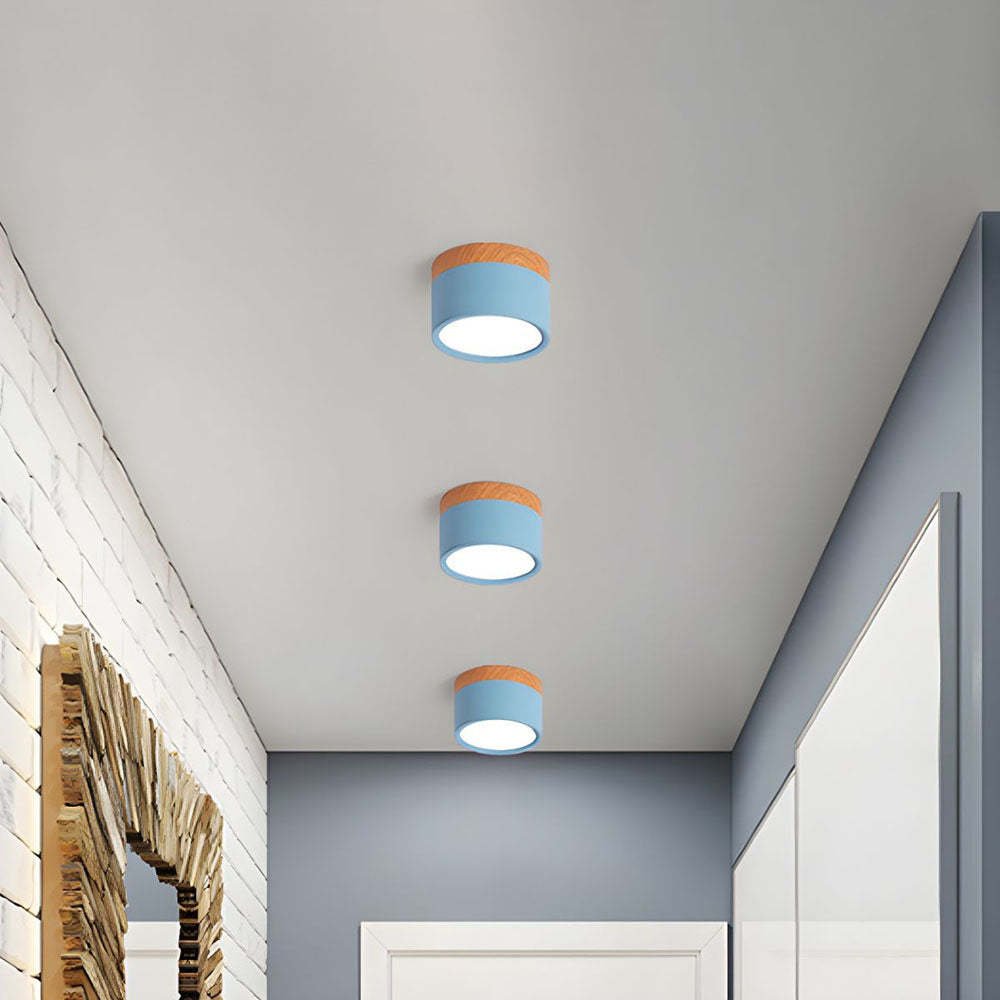 Cylinder Small Hallway Flush Ceiling Lamp For Living Room