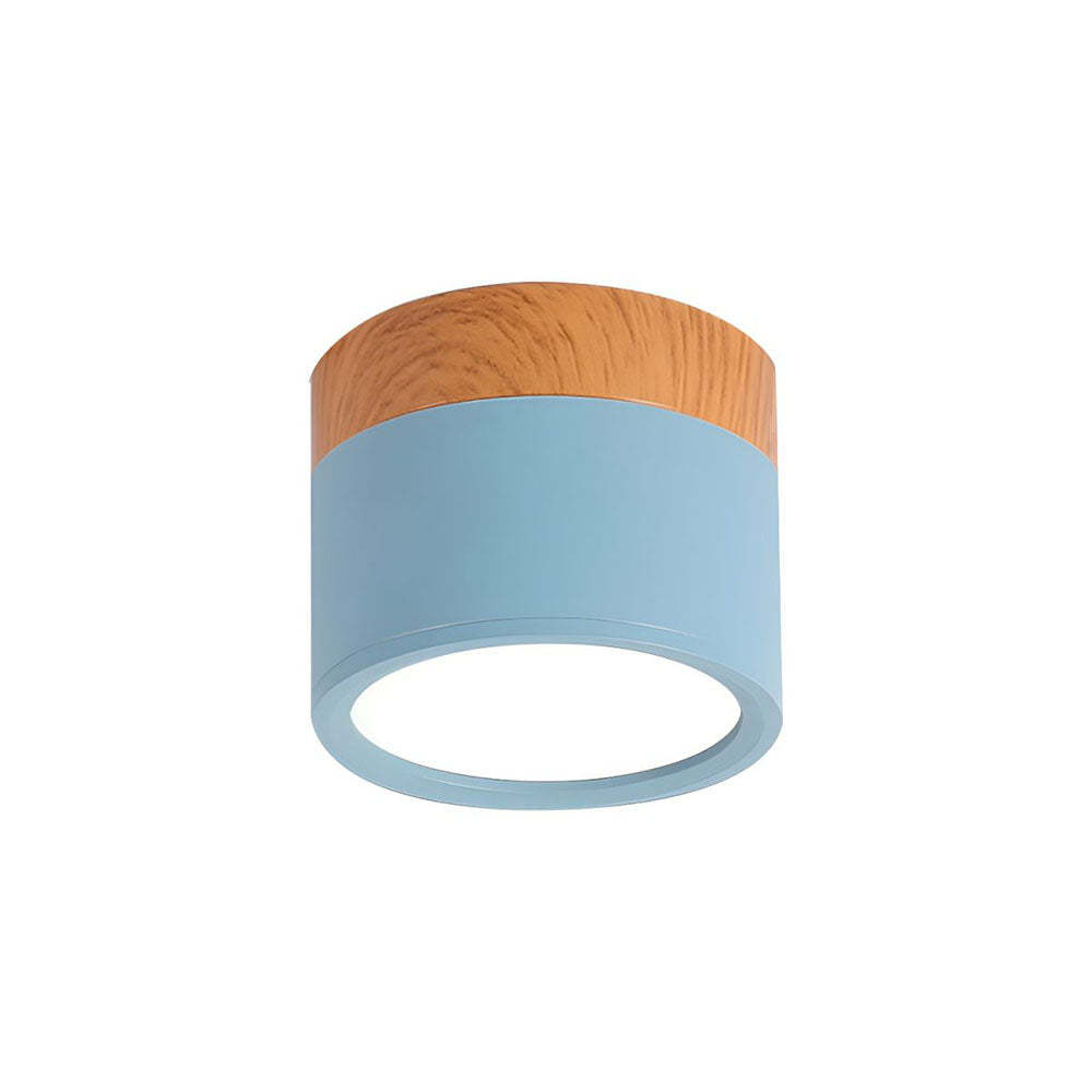Cylinder Small Hallway Flush Ceiling Lamp For Living Room