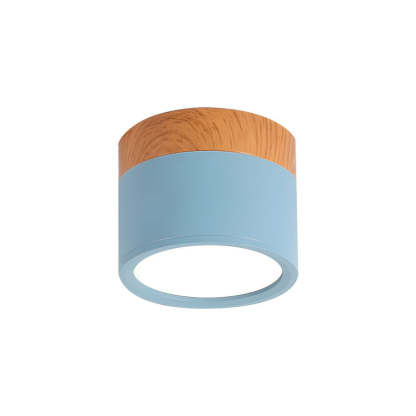 Cylinder Small Hallway Flush Ceiling Lamp For Living Room