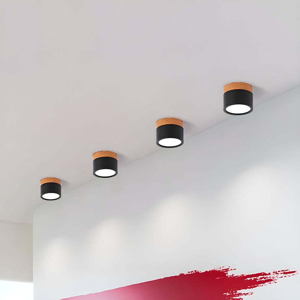 Cylinder Small Hallway Flush Ceiling Lamp For Living Room