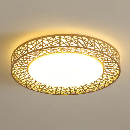 Contemporary Stylish Living Room LED Ceiling Light