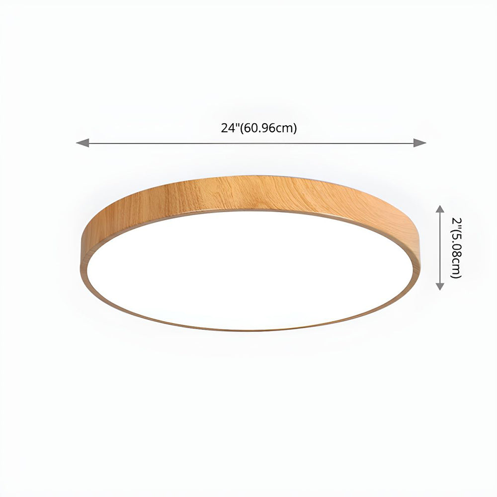 Modern Concise Iron LED Ceiling Light