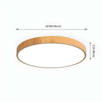 Modern Concise Iron LED Ceiling Light