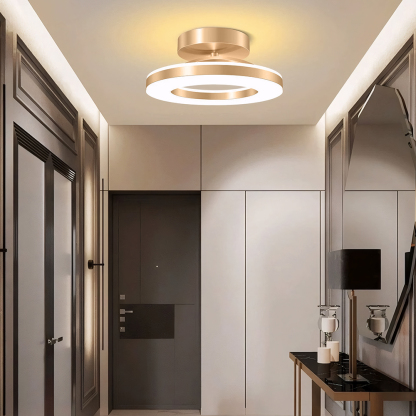 Modern Dimmable LED Living Room Ceiling Light