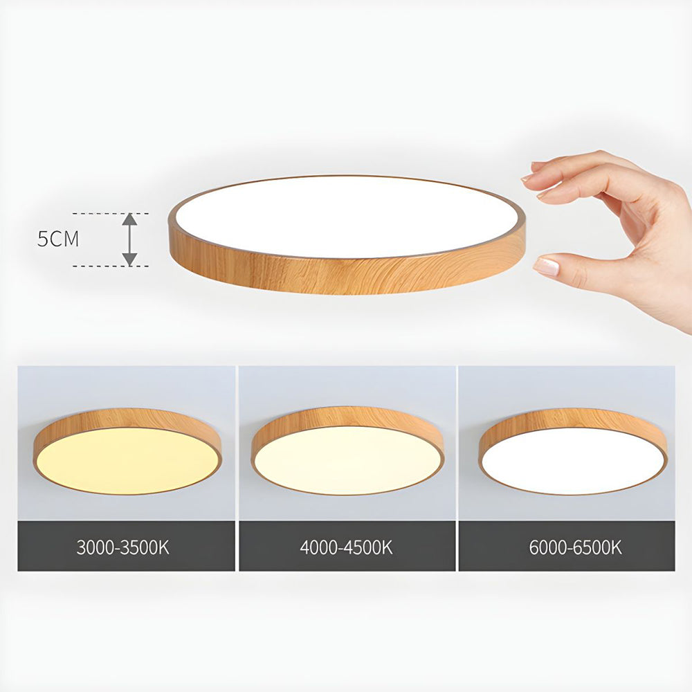 Modern Concise Iron LED Ceiling Light