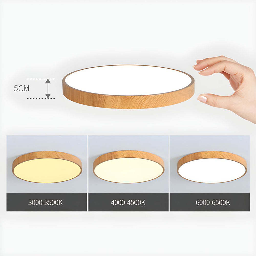 Modern Concise Iron LED Ceiling Light