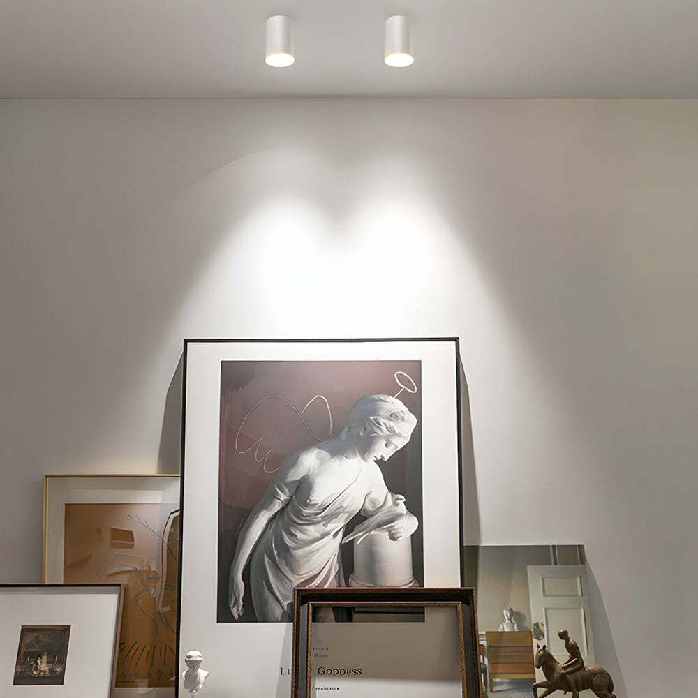 Compact Aluminum LED Ceiling Downlights For Hallway