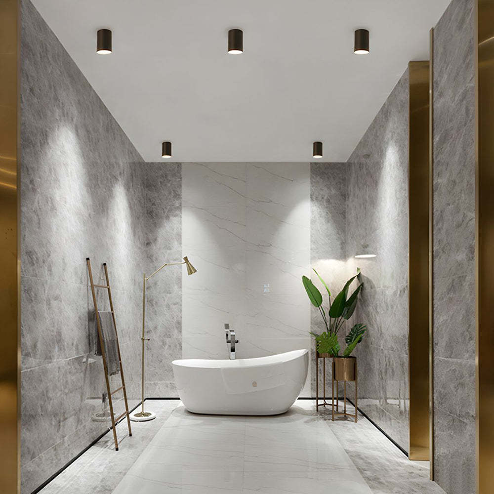 Compact Aluminum LED Ceiling Downlights For Hallway