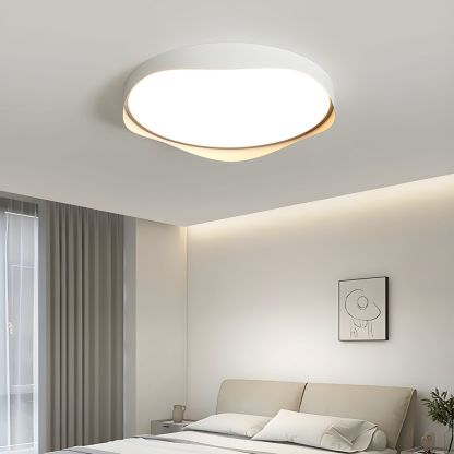 LED Bulbs Modern Ceiling Lights
