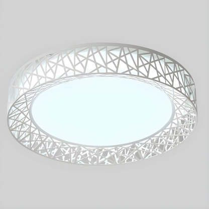 Contemporary Stylish Living Room LED Ceiling Light