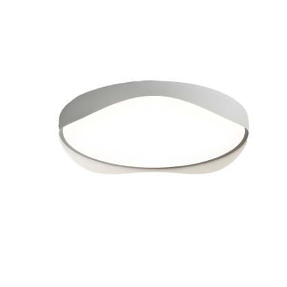 LED Bulbs Modern Ceiling Lights