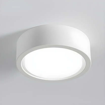 Simple Hallway Small Flush Ceiling Lights