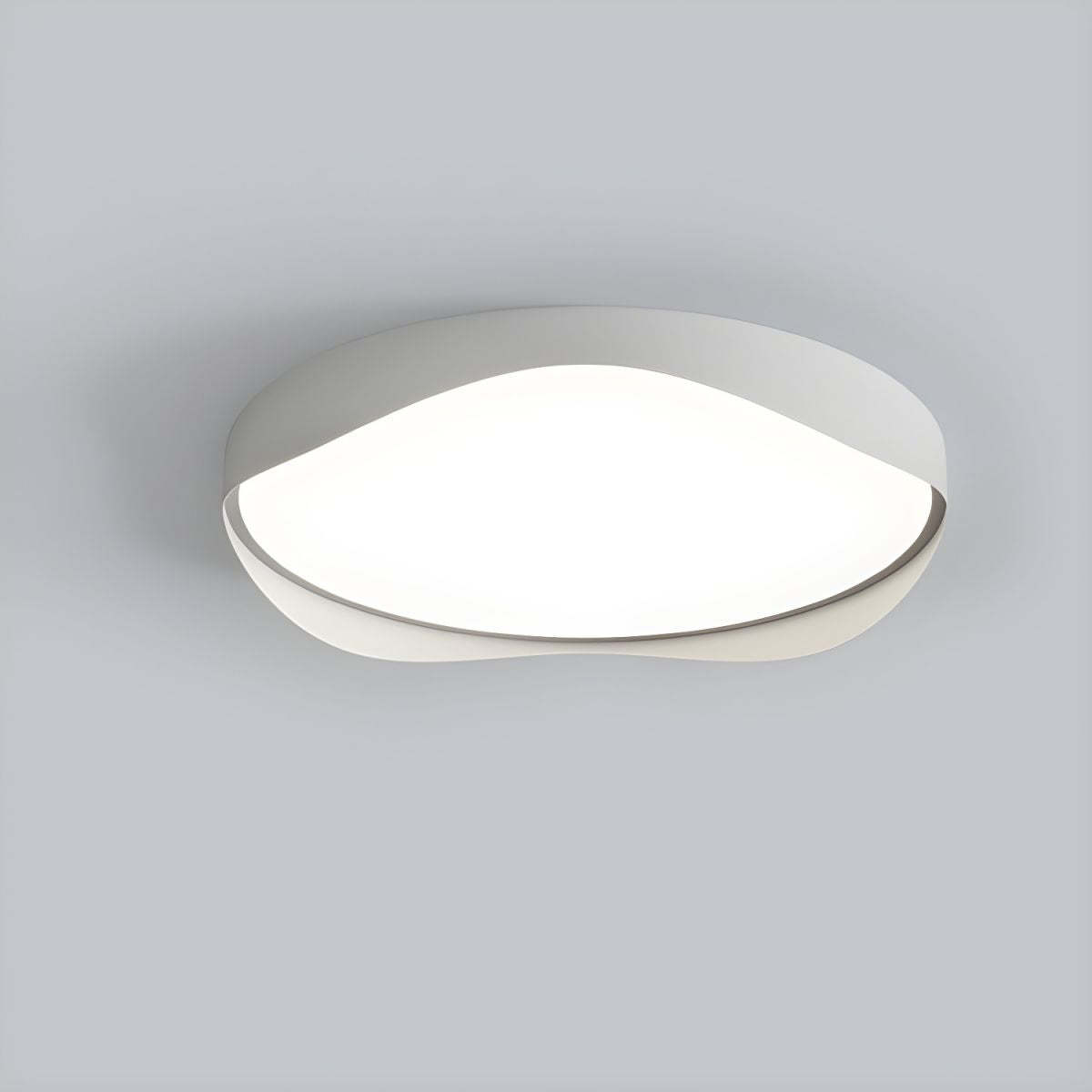 LED Bulbs Modern Ceiling Lights