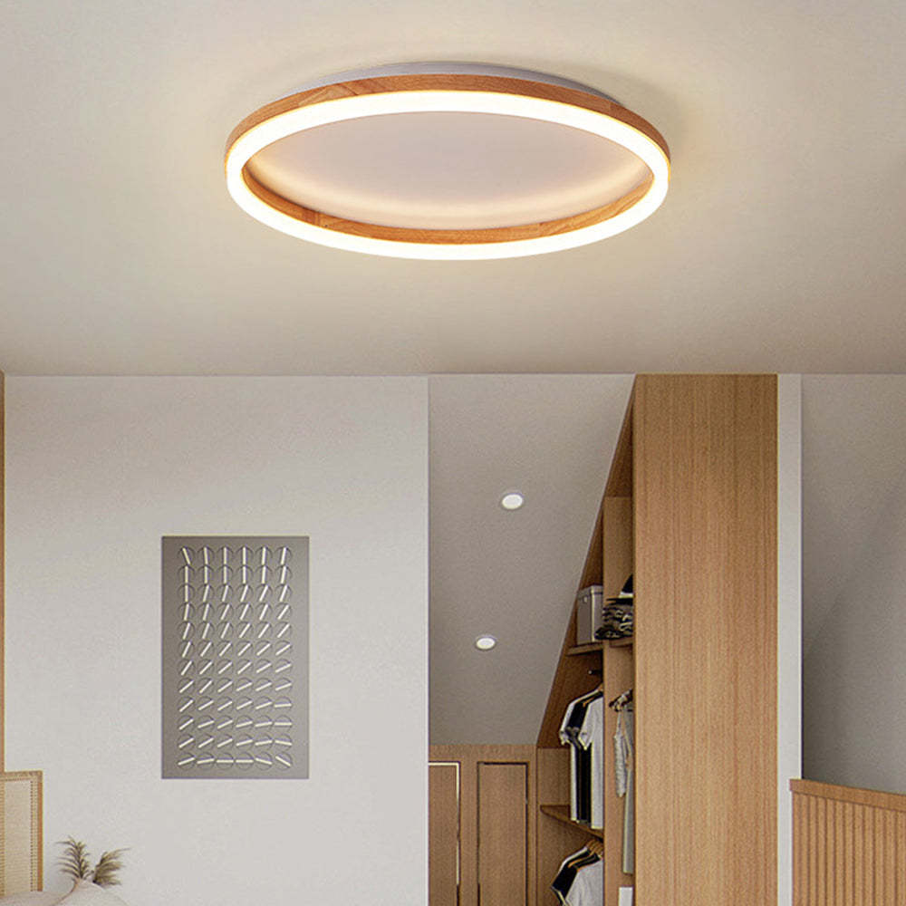 Organic Round Living Room LED Ceiling Lights