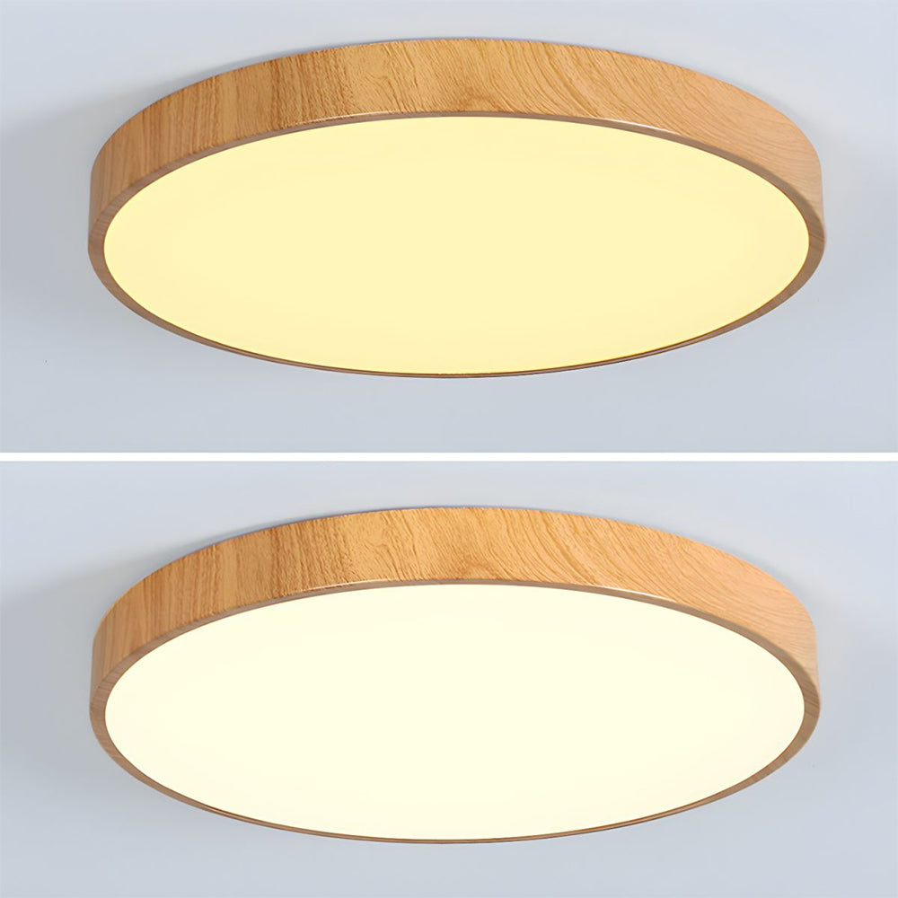 Modern Concise Iron LED Ceiling Light
