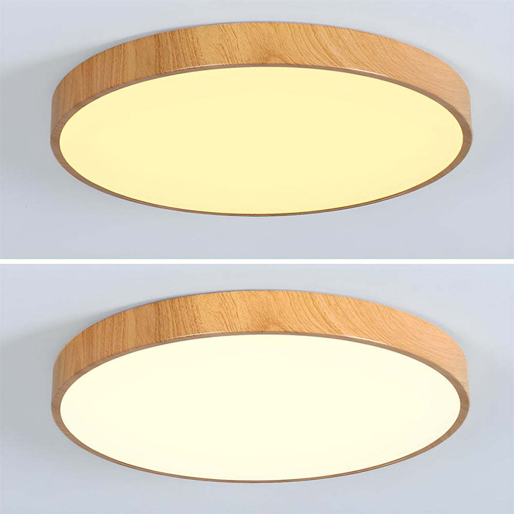 Modern Concise Iron LED Ceiling Light