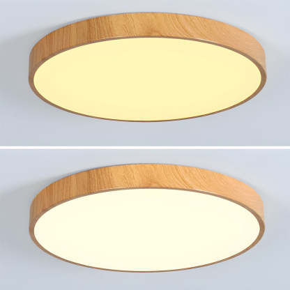 Modern Concise Iron LED Ceiling Light