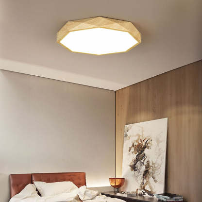 Modern Dimmable LED Ceiling Light