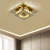 Homdiy Ceiling Lights Modern Semi Flush Living Room LED Ceiling Light
