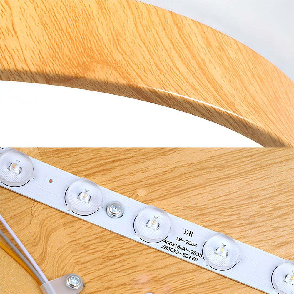 Modern Concise Iron LED Ceiling Light