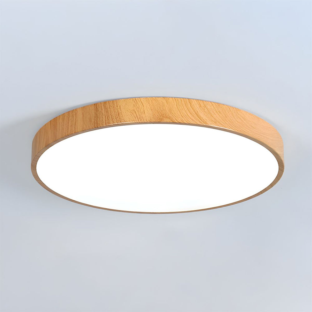 Modern Concise Iron LED Ceiling Light