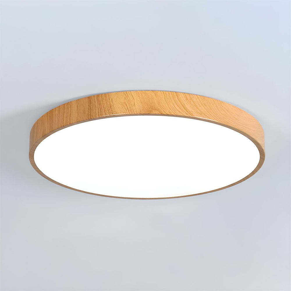Modern Concise Iron LED Ceiling Light