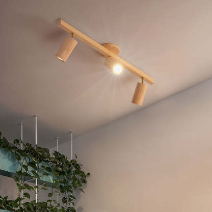 Wood Spotlight LED Living Room Ceiling Lights