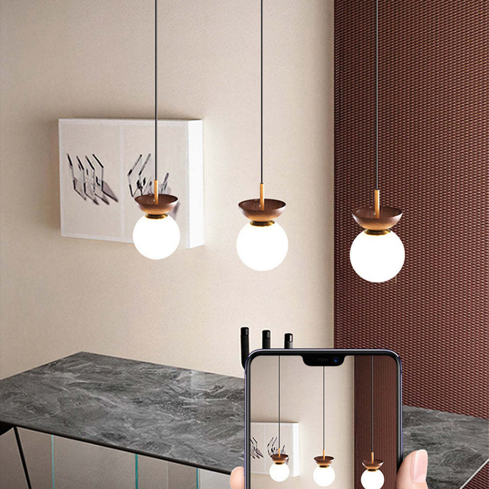 Contemporary Wood Pendant Light