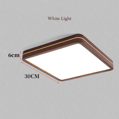 Modern Acrylic LED Ceiling Light For Bedroom